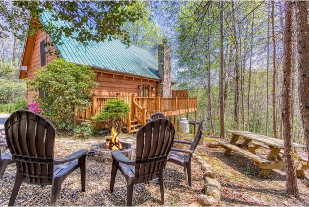 Lazy Bear Cabin سيفيرفيل المظهر الخارجي الصورة