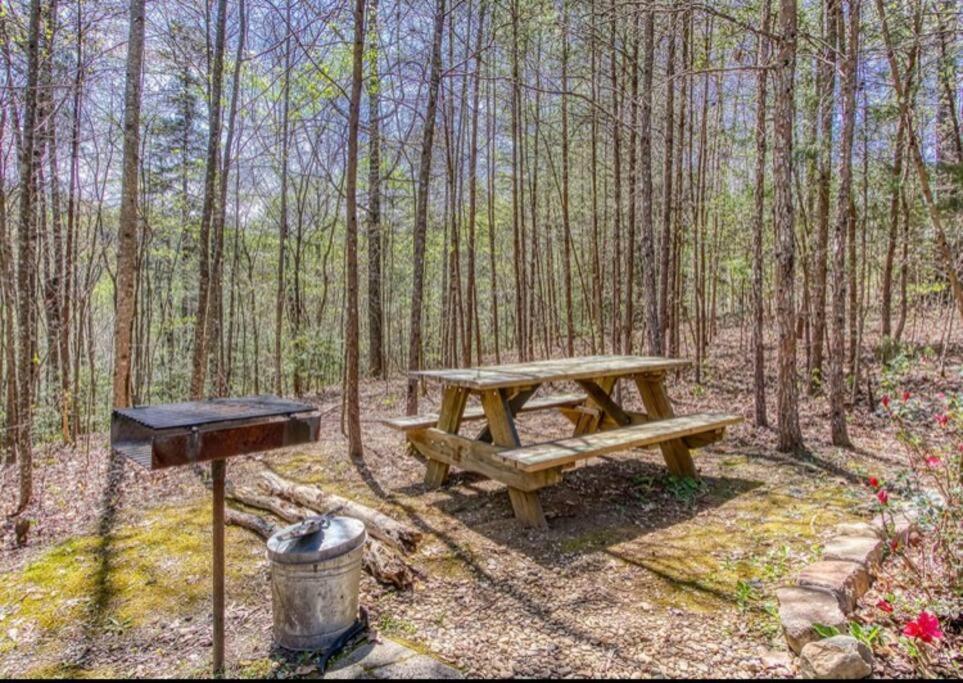 Lazy Bear Cabin سيفيرفيل المظهر الخارجي الصورة