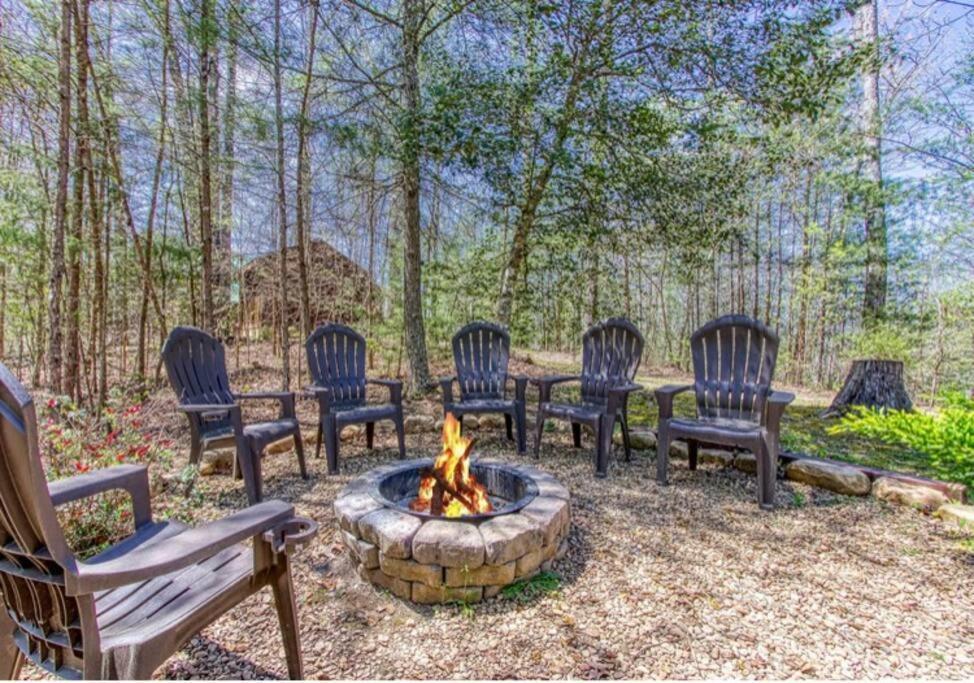 Lazy Bear Cabin سيفيرفيل المظهر الخارجي الصورة